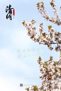汾西二十四节气｜清明：与春同行 思念与希望同在