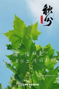 汾西二十四节气｜秋分：一叶落平分秋色 万物收岁月无恙 (1).jpg