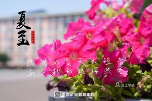 汾西二十四节气｜夏至：芳华绽放 与热爱并往 度岁月漫长