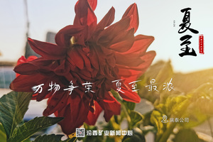 汾西二十四节气｜夏至：芳华绽放 与热爱并往 度岁月漫长