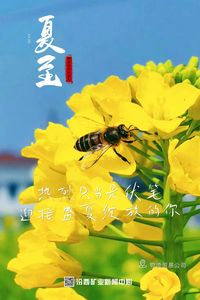 汾西二十四节气｜夏至：芳华绽放 与热爱并往 度岁月漫长