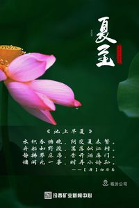 汾西二十四节气｜夏至：芳华绽放 与热爱并往 度岁月漫长