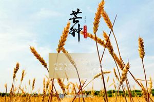 汾西二十四节气｜芒种：“芒”有所获 “种”有所得