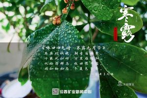 汾西二十四节气｜寒露：秋光逐露 美好凝驻